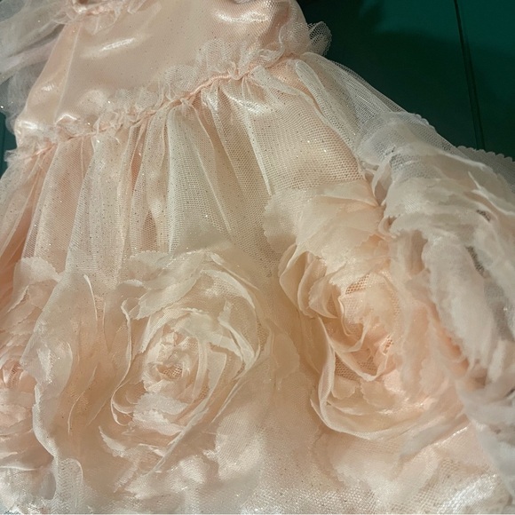 Peach Tulle Dress with Floral Accents - Picture 2 of 2